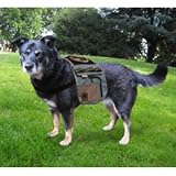 Urban Adventure Backpack, Medium - Colors May Vary