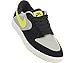 Nike Men's Paul Rodriguez 7 Skateboarding Shoes