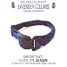 Aromatherapy Lavender Flea Collar