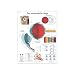 3B Scientific VR0226L Glossy UV Resistant Laminated Paper Das Menschliche Auge Anatomical Chart (Human Eye Anatomical Chart, German), Poster Size 20
