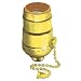 Leviton 19980-PG Medium Base Complete, Aluminum Shell Incandescent Lampholder, Pull Chain, Single Circuit, 1/8IPs Tapped Bushing, Set Screw, Brass