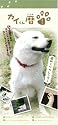 カイくん暦 (お父さん) 2009年カレンダー