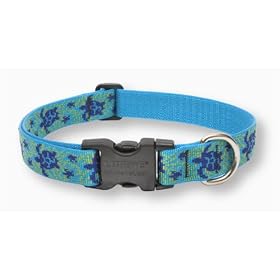 Lupine Adjustable Collars Large 1 in. x 18 in. - 31 in. - Turtle Reef