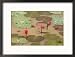 Lotus Flower, Ayuthaya, Thailand Subject Framed Photographic Poster Print by Gavriel Jecan, 21x17