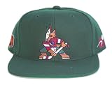 NHL Phoenix Coyotes Hockey Hat