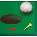 19th Hole Beverage Napkins 16ct