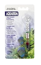 Marina Floating Thermometer with Suction Cup
