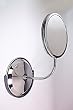 Gooseneck Vanity 1X/5X/10X Travel Mirror