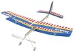 Giant Sky Rover Flyer