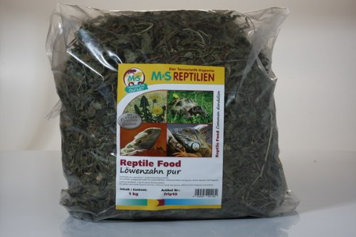 Löwenzahn pur, getrocknet 1 Kg Deutsches Naturprodukt 