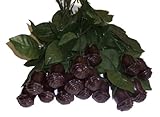 Long Stem Solid Chocolate Roses 12 Dark chocolate