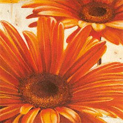Eurographics AWA1016 Arkadiusz Warminski, Shining Gerbera 50 x 50 cm, Hochwertiger Kunstdr Preisvergleich