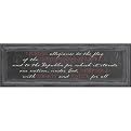 I Pledge Allegiance Metal Wall Art