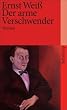 Der arme Verschwender: Roman (suhrkamp taschenbuch)