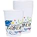 Graduation Printed Plastic 14oz Cups Super Value Pack 50ct