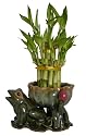 KL Design & Import - 2 Tier Bamboo Tower in a Hand Made Ceramic Frog and Lotus Vase *Perfect Gift*