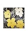Flowers, c.1966 (Yellow and White) Art Poster Print by Andy Warhol, 11x14