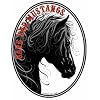 HORSE- SAVE THE MUSTANGS - American Wild Mustang Horses-decal-bumper Sticker- Cool Oval Equine Auto Sticker Decal- Can Be Used for Cars, Trucks, Notebooks Etc. All Profits from this decal will go the saving the wild Mustang horses!