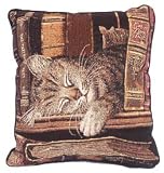 Frederick the Literate Pillow - 17 x 17 Pillow
