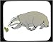 Mouse Pad with frog, badger, mammal, animal