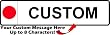 Customized Front Registration Plates  Japanese Flag