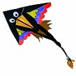 kite