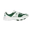 Michigan State Spartans - Collegiate Shoes