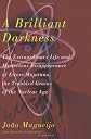 A Brilliant Darkness