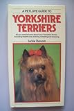 A dog owner's guide to Yorkshire terriers