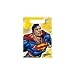 Search : Superman Returns Treat Bags - 8 Count
