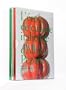 L'�cole de cuisine italienne d'Alba Pezone
