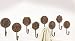 Iron Medallion Wall Hooks (Set of 8)