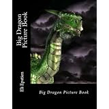 Big Dragon Picture Book