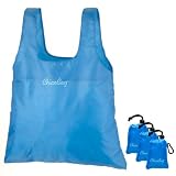 Reusable Shopping Tote / Grocery Bag by ChicoBag - 4 Pack
