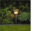 Contemporary tulip colour changing solar light