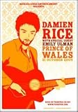 DAMIEN RICE - Limited Edition Concert Poster - by Jazz Feldy