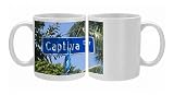 Captiva Island, Gulf Coast, Florida, United States of America, North America Photo Mugs