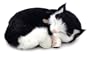 Perfect Petzzz Kitten - Black/ White