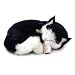 Perfect Petzzz Kitten - Black/ White