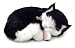 Perfect Petzzz Kitten - Black/ White_s-1