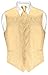 Vesuvio Napoli Men's Paisley Design Dress Vest & NeckTie GOLD Color Neck Tie Set for Suit Tux