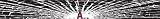 Anaheim Angels Shattered Auto Visor Decal