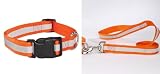  : 20 INCH - ORANGE - Reflective Stripe Safety Dog COLLAR & LEAD SET
