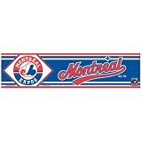 Washington Nationals Bumper Sticker