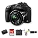 Panasonic Lumix DMC-FZ70 DMC-FZ70K DMCFZ70K Digital Camera + 16GB SDHC Class 10 Memory Card + Extra DMW-BMB9 Battery + Carrying Case + Table Top Tripod, Lens Cleaning Kit, LCD Protector + USB SDHC Reader