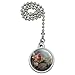 Graphics and More Purple Finch Bird Tree Blossoms Ceiling Fan and Light Pull Chain
