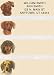 dachshund13 - Personalized Custom Return Address Labels Dachshund Dog Booklet