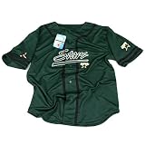 Dallas Stars Embroidered Baseball Jersey - Green