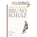 Bruno Schulz 1892-1942: Ein K�nstlerleben in Galizien