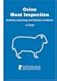 Ovine Meat Inspection: Anatomy, Physiology and Disease Conditions